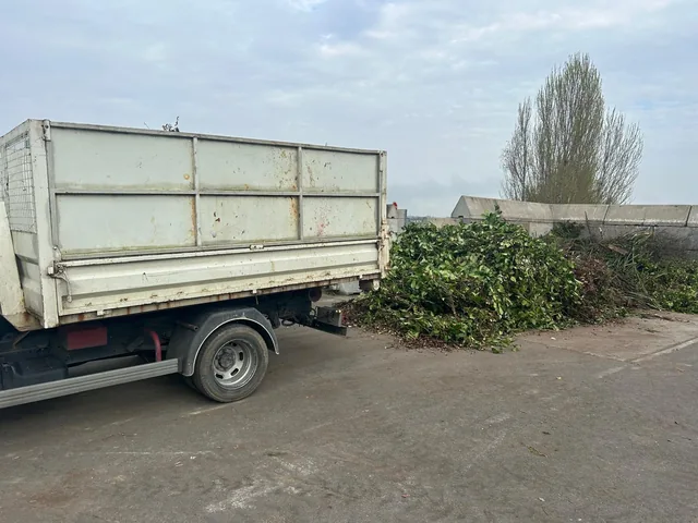 Camion benne et gros tas de branchages (déchets verts)